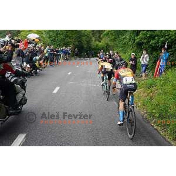 Primoz Roglic, winner of Slovenian Cycling Championships Road Race Cerklje-Ambroz pod Krvavcem, Slovenia on June 21 , 2020