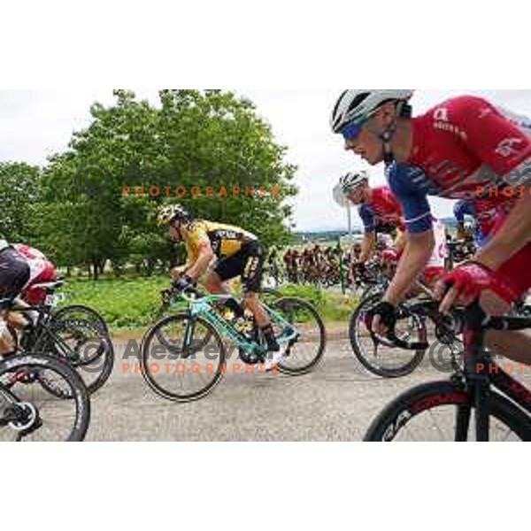 Primoz Roglic, winner of Slovenian Cycling Championships Road Race Cerklje-Ambroz pod Krvavcem, Slovenia on June 21 , 2020