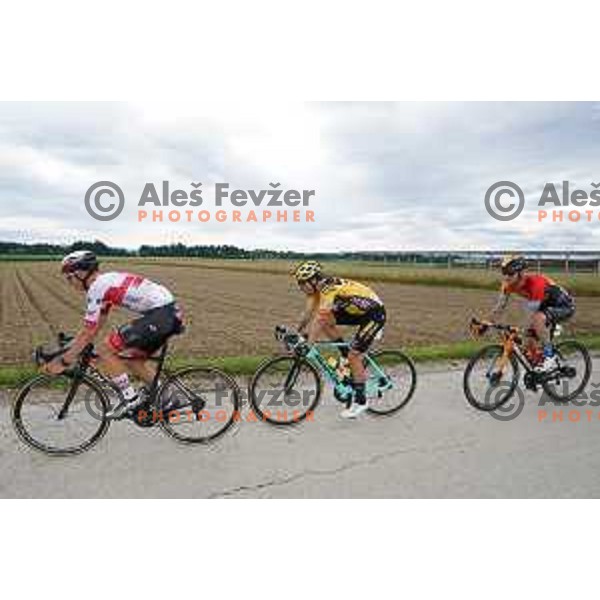 Tadej Pogacar, Primoz Roglic and Grega Bole racing at Slovenian Cycling Championships Road Race in Cerklje, Slovenia on June 21 , 2020