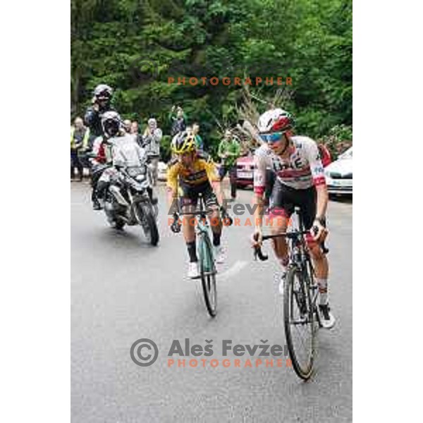 Primoz Roglic, winner and Tadej Pogacar, runner-up of Slovenian Cycling Championships Road Race Cerklje-Ambroz pod Krvavcem, Slovenia on June 21 , 2020