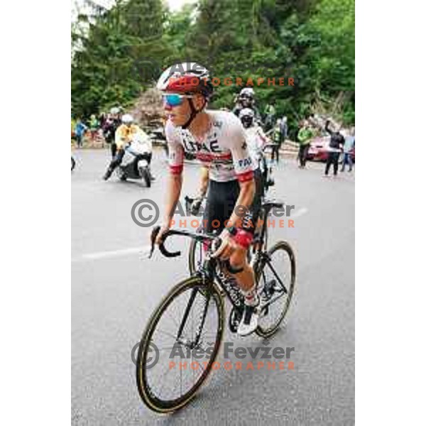 Tadej Pogacar, runner-up of Slovenian Cycling Championships Road Race Cerklje-Ambroz pod Krvavcem, Slovenia on June 21 , 2020