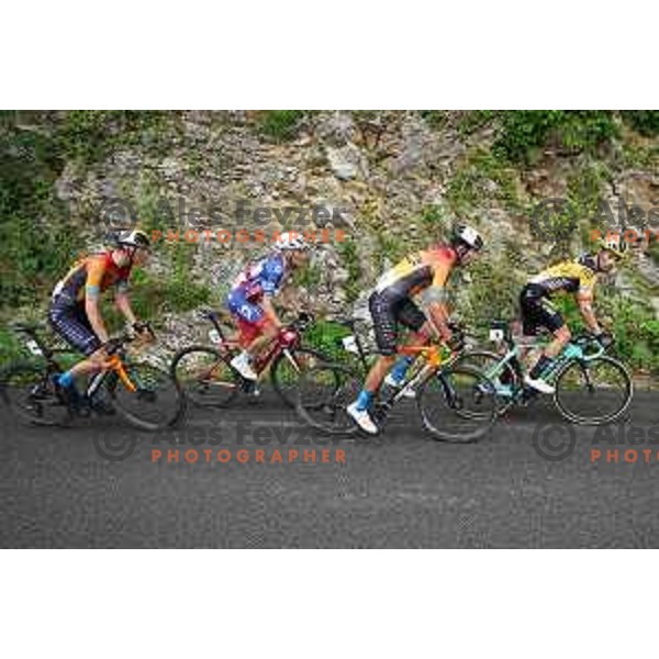 Matej Mohoric, Jani Brajkovic, Domen Novak and Primoz Roglic, winner of Slovenian Cycling Championships Road Race Cerklje-Ambroz pod Krvavcem, Slovenia on June 21 , 2020