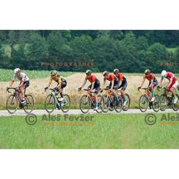 Tadej Pogacar, Primoz Roglic, Grega Bole, Matej Mohoric, Luka Pibernik, Domen Novak racing at Slovenian Cycling Championships Road Race Cerklje-Ambroz pod Krvavcem, Slovenia on June 21 , 2020