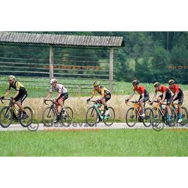 Luka Mezgec, Tadej Pogacar, Primoz Roglic, Grega Bole, Matej Mohoric, Luka Pibernik, racing at Slovenian Cycling Championships Road Race Cerklje-Ambroz pod Krvavcem, Slovenia on June 21 , 2020