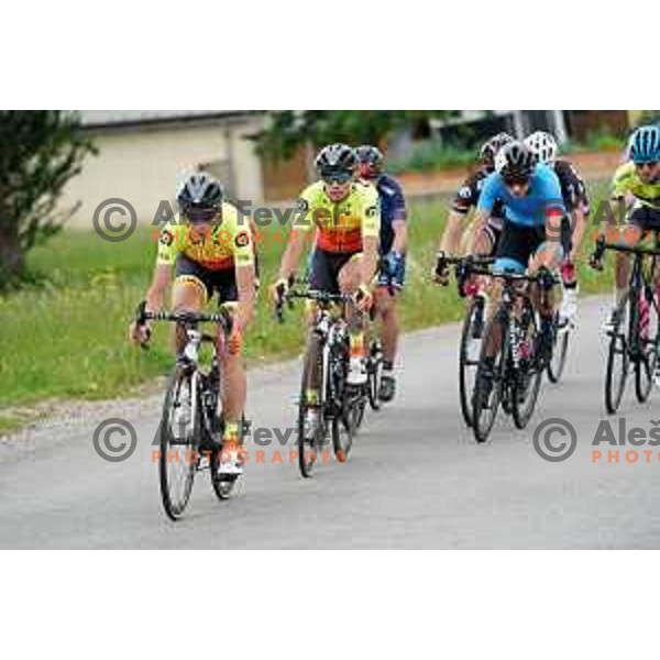 Urska Zigart at Slovenian Cycling Championships Road Race Cerklje-Ambroz pod Krvavcem, Slovenia on June 21 , 2020