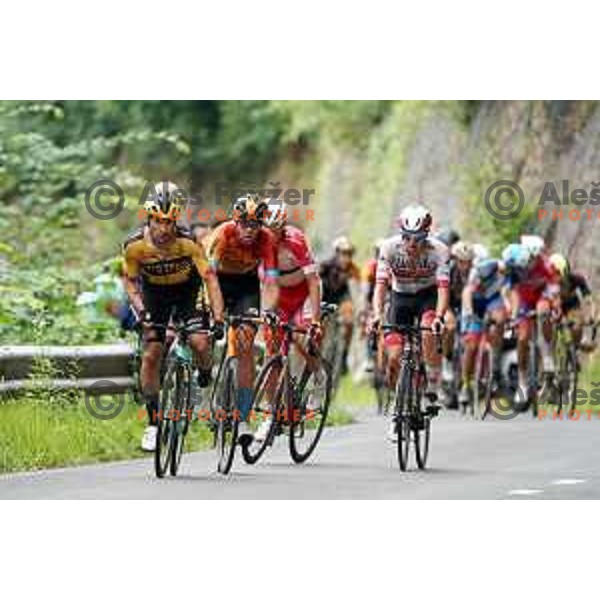 Slovenian Cycling Championships Road Race Cerklje-Ambroz pod Krvavcem, Slovenia on June 21 , 2020