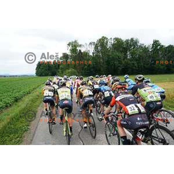 Slovenian Cycling Championships Road Race Cerklje-Ambroz pod Krvavcem, Slovenia on June 21 , 2020