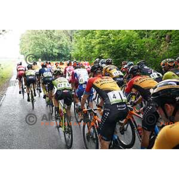 Slovenian Cycling Championships Road Race Cerklje-Ambroz pod Krvavcem, Slovenia on June 21 , 2020