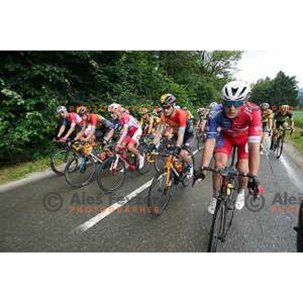 Grega bole and Bostjan Murn racing Slovenian Cycling Championships Road Race Cerklje-Ambroz pod Krvavcem, Slovenia on June 21 , 2020