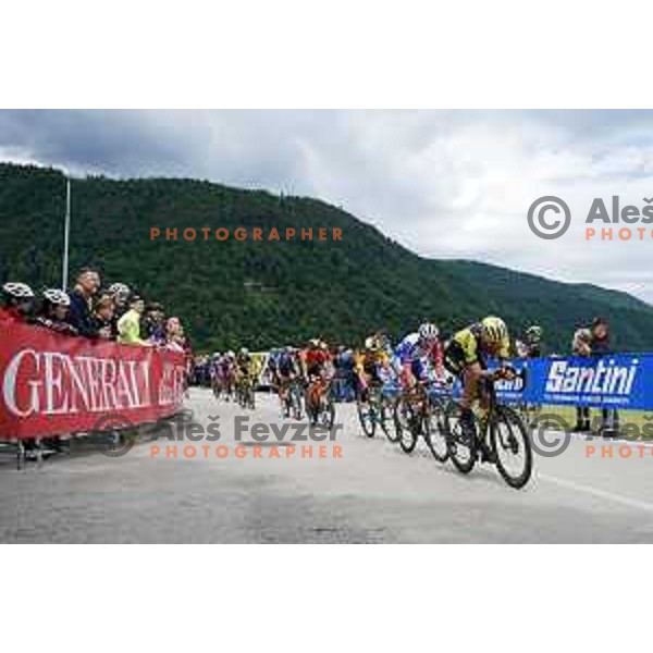 Luka Mezgec and Ziga Jerman at Slovenian Cycling Championships Road Race Cerklje-Ambroz pod Krvavcem, Slovenia on June 21 , 2020