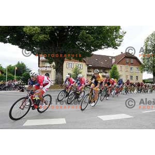 Slovenian Cycling Championships Road Race Cerklje-Ambroz pod Krvavcem, Slovenia on June 21 , 2020