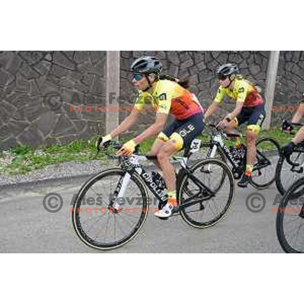 Ursa Pintar at Slovenian Cycling Championships Road Race Cerklje-Ambroz pod Krvavcem, Slovenia on June 21 , 2020