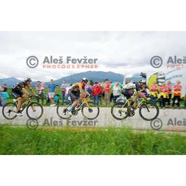 Matic Groselj, Jan Tratnik and Nik Cemazar at Slovenian Cycling Championships Road Race Cerklje-Ambroz pod Krvavcem, Slovenia on June 21 , 2020
