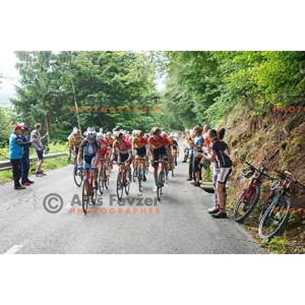 Slovenian Cycling Championships Road Race Cerklje-Ambroz pod Krvavcem, Slovenia on June 21 , 2020