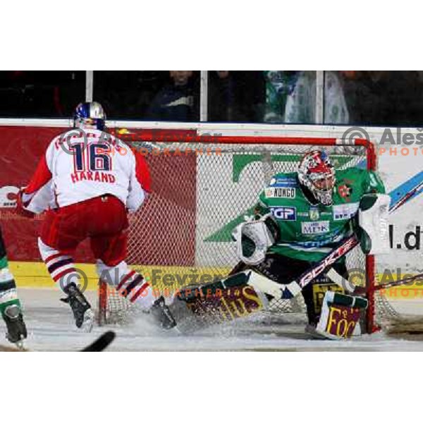 Westlund in action 