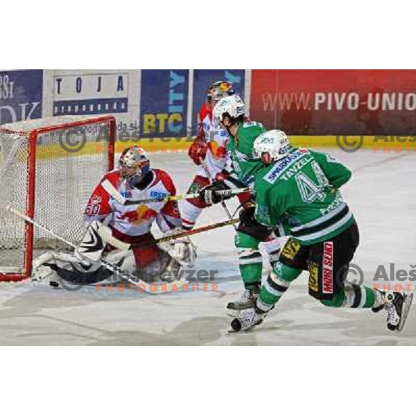 Tavzelj shots at second game of Final of EBEL league between ZM Olimpija- Red Bulls Salzburg, played in Ljubljana, Slovenia 16.3.2008. Red Bulls Salzburg won the game 3:1 and leveled the series 1:1. Photo by Ales Fevzer 