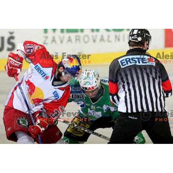 Pewal (36) at second game of Final of EBEL league between ZM Olimpija- Red Bulls Salzburg, played in Ljubljana, Slovenia 16.3.2008. Red Bulls Salzburg won the game 3:1 and leveled the series 1:1. Photo by Ales Fevzer 