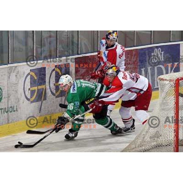 Music (16) at second game of Final of EBEL league between ZM Olimpija- Red Bulls Salzburg, played in Ljubljana, Slovenia 16.3.2008. Red Bulls Salzburg won the game 3:1 and leveled the series 1:1. Photo by Ales Fevzer 