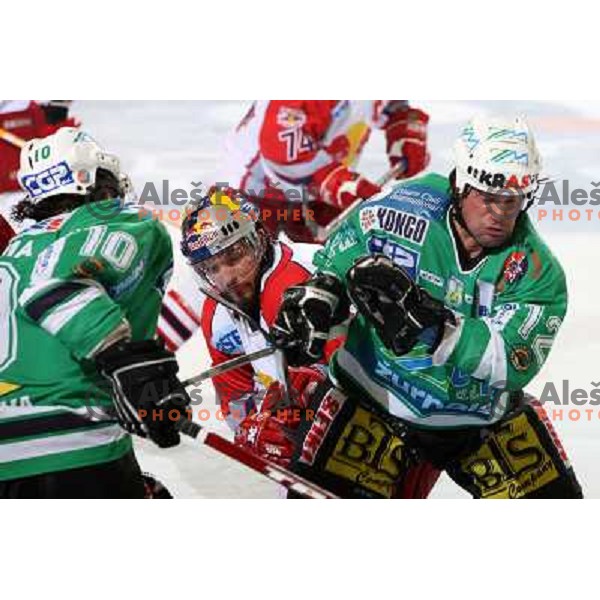 Todd Elik (12) at second game of Final of EBEL league between ZM Olimpija- Red Bulls Salzburg, played in Ljubljana, Slovenia 16.3.2008. Red Bulls Salzburg won the game 3:1 and leveled the series 1:1. Photo by Ales Fevzer 