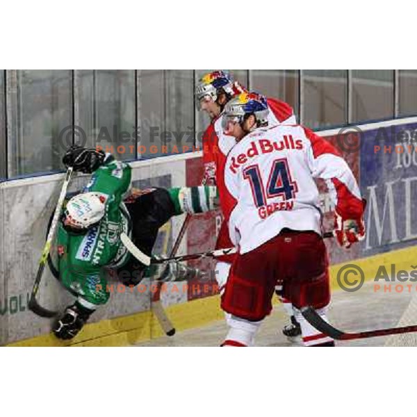 Intranuovo kisses the wall at second game of Final of EBEL league between ZM Olimpija- Red Bulls Salzburg, played in Ljubljana, Slovenia 16.3.2008. Red Bulls Salzburg won the game 3:1 and leveled the series 1:1. Photo by Ales Fevzer 
