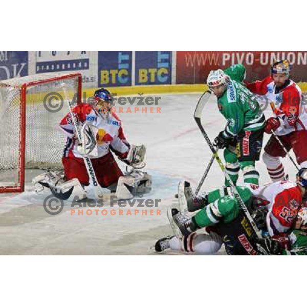Divis at second game of Final of EBEL league between ZM Olimpija- Red Bulls Salzburg, played in Ljubljana, Slovenia 16.3.2008. Red Bulls Salzburg won the game 3:1 and leveled the series 1:1. Photo by Ales Fevzer 