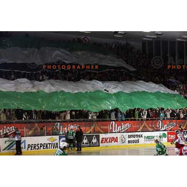 Green dragons decoration at second game of Final of EBEL league between ZM Olimpija- Red Bulls Salzburg, played in Ljubljana, Slovenia 16.3.2008. Red Bulls Salzburg won the game 3:1 and leveled the series 1:1. Photo by Ales Fevzer 
