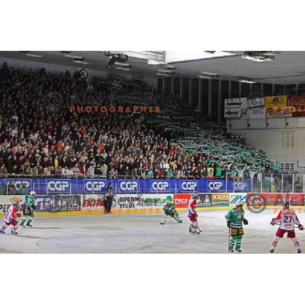 5000 spectators at second game of Final of EBEL league between ZM Olimpija- Red Bulls Salzburg, played in Ljubljana, Slovenia 16.3.2008. Red Bulls Salzburg won the game 3:1 and leveled the series 1:1. Photo by Ales Fevzer 