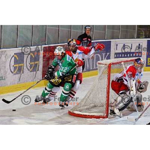 Elik at second game of Final of EBEL league between ZM Olimpija- Red Bulls Salzburg, played in Ljubljana, Slovenia 16.3.2008. Red Bulls Salzburg won the game 3:1 and leveled the series 1:1. Photo by Ales Fevzer 