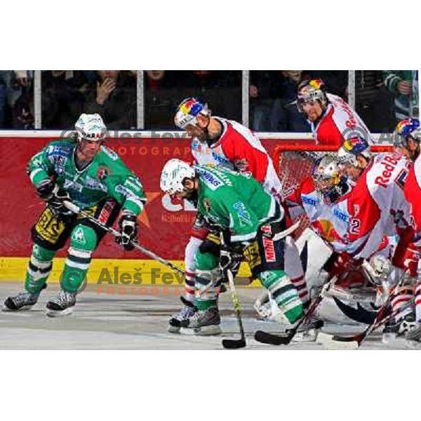 Elik and Intranuovo at second game of Final of EBEL league between ZM Olimpija- Red Bulls Salzburg, played in Ljubljana, Slovenia 16.3.2008. Red Bulls Salzburg won the game 3:1 and leveled the series 1:1. Photo by Ales Fevzer 