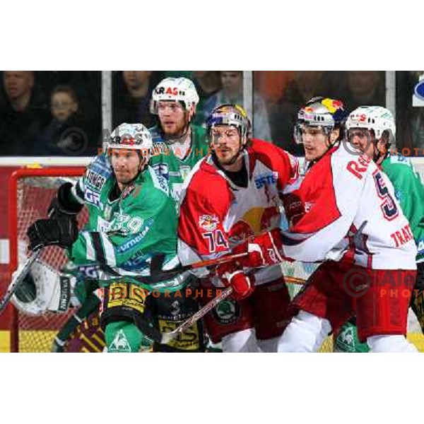 Felsner (39) and Kalt (74) at second game of Final of EBEL league between ZM Olimpija- Red Bulls Salzburg, played in Ljubljana, Slovenia 16.3.2008. Red Bulls Salzburg won the game 3:1 and leveled the series 1:1. Photo by Ales Fevzer 
