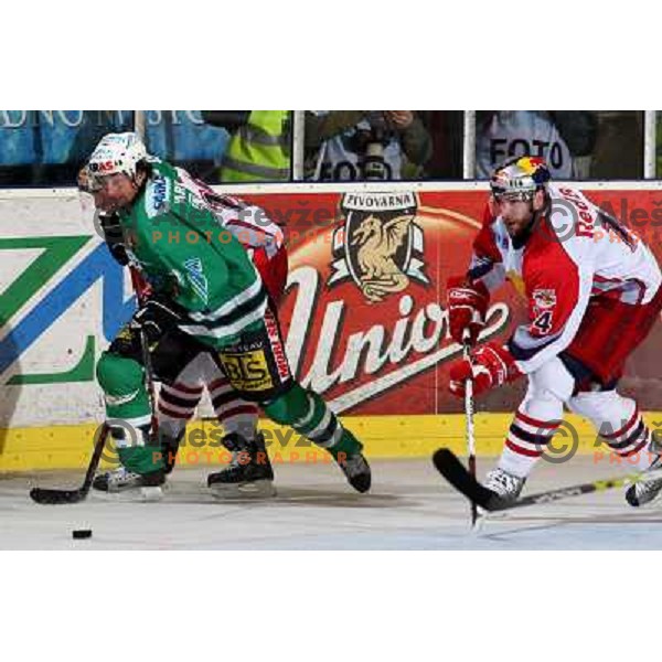 Yarema and Green at second game of Final of EBEL league between ZM Olimpija- Red Bulls Salzburg, played in Ljubljana, Slovenia 16.3.2008. Red Bulls Salzburg won the game 3:1 and leveled the series 1:1. Photo by Ales Fevzer 