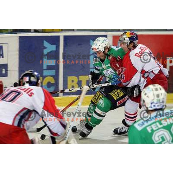 Vnuk and Harand (16) at second game of Final of EBEL league between ZM Olimpija- Red Bulls Salzburg, played in Ljubljana, Slovenia 16.3.2008. Red Bulls Salzburg won the game 3:1 and leveled the series 1:1. Photo by Ales Fevzer 
