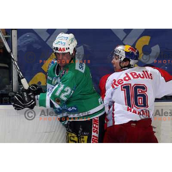 Elik and Harand at second game of Final of EBEL league between ZM Olimpija- Red Bulls Salzburg, played in Ljubljana, Slovenia 16.3.2008. Red Bulls Salzburg won the game 3:1 and leveled the series 1:1. Photo by Ales Fevzer 
