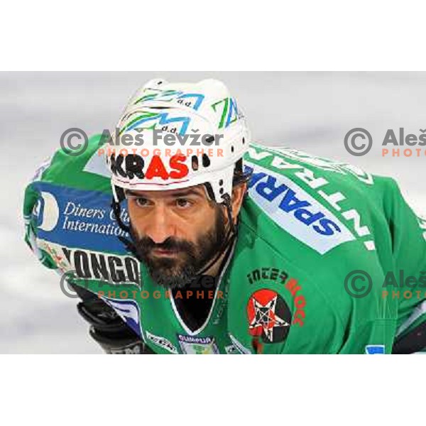 Intranuovo at second game of Final of EBEL league between ZM Olimpija- Red Bulls Salzburg, played in Ljubljana, Slovenia 16.3.2008. Red Bulls Salzburg won the game 3:1 and leveled the series 1:1. Photo by Ales Fevzer 