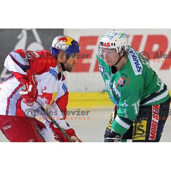 Johnson and Muric at second game of Final of EBEL league between ZM Olimpija- Red Bulls Salzburg, played in Ljubljana, Slovenia 16.3.2008. Red Bulls Salzburg won the game 3:1 and leveled the series 1:1. Photo by Ales Fevzer 