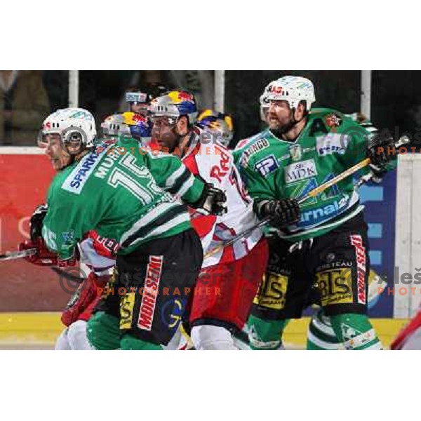 Muric and Zupancic at second game of Final of EBEL league between ZM Olimpija- Red Bulls Salzburg, played in Ljubljana, Slovenia 16.3.2008. Red Bulls Salzburg won the game 3:1 and leveled the series 1:1. Photo by Ales Fevzer 