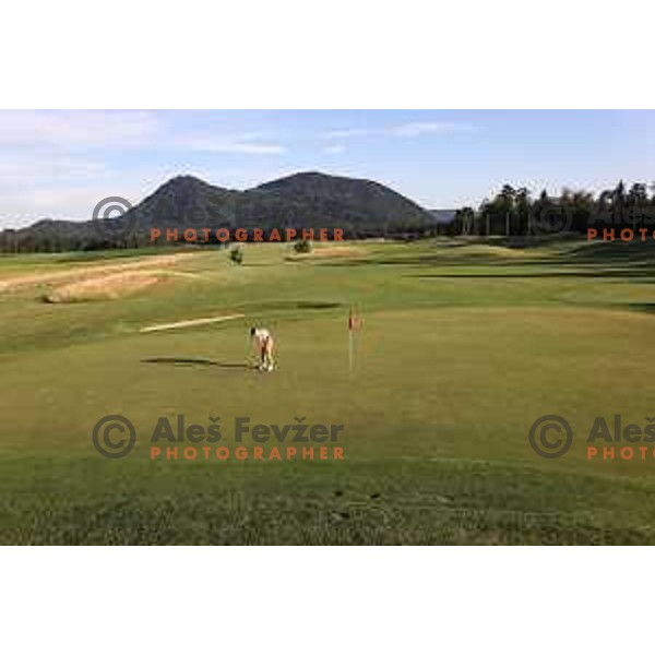 Eva Kiri Fevzer playing at Cubo golf course in Smlednik, Slovenia. It will be the venue for the Ladies European Amateur Championship in September 2020. Photographs were taken on July 10, 2020