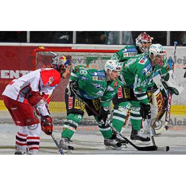 Shwab (5), Music (16), Pavlin (34) and Westlund at second game of Final of EBEL league between ZM Olimpija- Red Bulls Salzburg, played in Ljubljana, Slovenia 16.3.2008. Red Bulls Salzburg won the game 3:1 and leveled the series 1:1. Photo by Ales Fevzer 