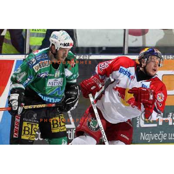 Vnuk (24) and Lukas (52) at second game of Final of EBEL league between ZM Olimpija- Red Bulls Salzburg, played in Ljubljana, Slovenia 16.3.2008. Red Bulls Salzburg won the game 3:1 and leveled the series 1:1. Photo by Ales Fevzer 