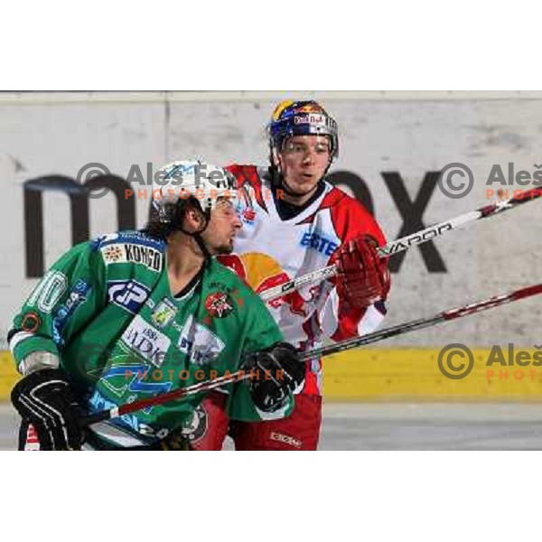 Yarema and Harand at second game of Final of EBEL league between ZM Olimpija- Red Bulls Salzburg, played in Ljubljana, Slovenia 16.3.2008. Red Bulls Salzburg won the game 3:1 and leveled the series 1:1. Photo by Ales Fevzer 