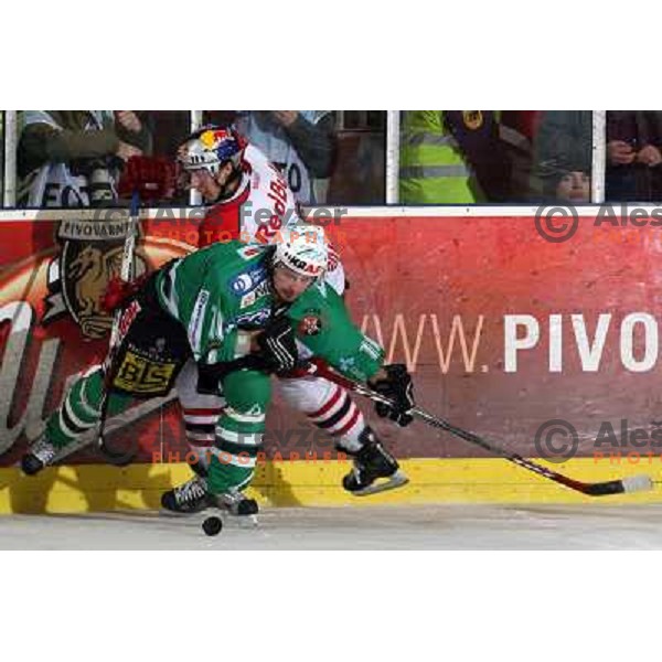 Yarema and Harand at second game of Final of EBEL league between ZM Olimpija- Red Bulls Salzburg, played in Ljubljana, Slovenia 16.3.2008. Red Bulls Salzburg won the game 3:1 and leveled the series 1:1. Photo by Ales Fevzer 