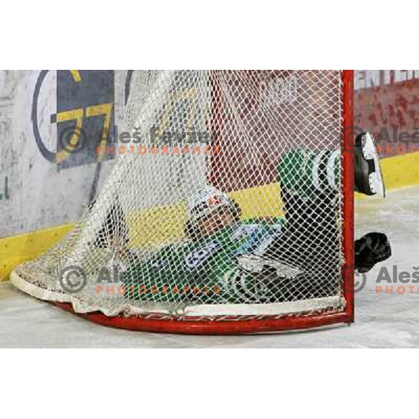 Yarema at second game of Final of EBEL league between ZM Olimpija- Red Bulls Salzburg, played in Ljubljana, Slovenia 16.3.2008. Red Bulls Salzburg won the game 3:1 and leveled the series 1:1. Photo by Ales Fevzer 