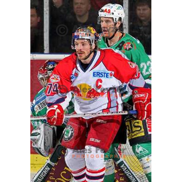 Kalt (74) and Kuznik (22) at second game of Final of EBEL league between ZM Olimpija- Red Bulls Salzburg, played in Ljubljana, Slovenia 16.3.2008. Red Bulls Salzburg won the game 3:1 and leveled the series 1:1. Photo by Ales Fevzer 