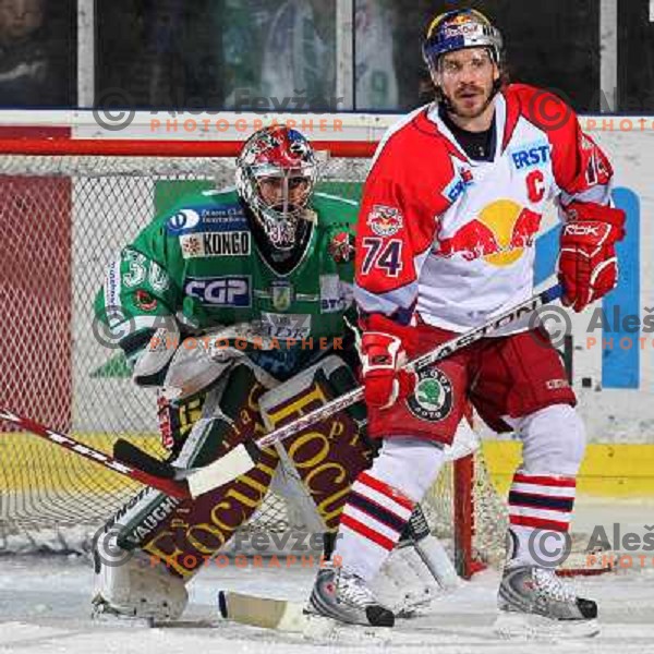 Westlund and Kalt at second game of Final of EBEL league between ZM Olimpija- Red Bulls Salzburg, played in Ljubljana, Slovenia 16.3.2008. Red Bulls Salzburg won the game 3:1 and leveled the series 1:1. Photo by Ales Fevzer 