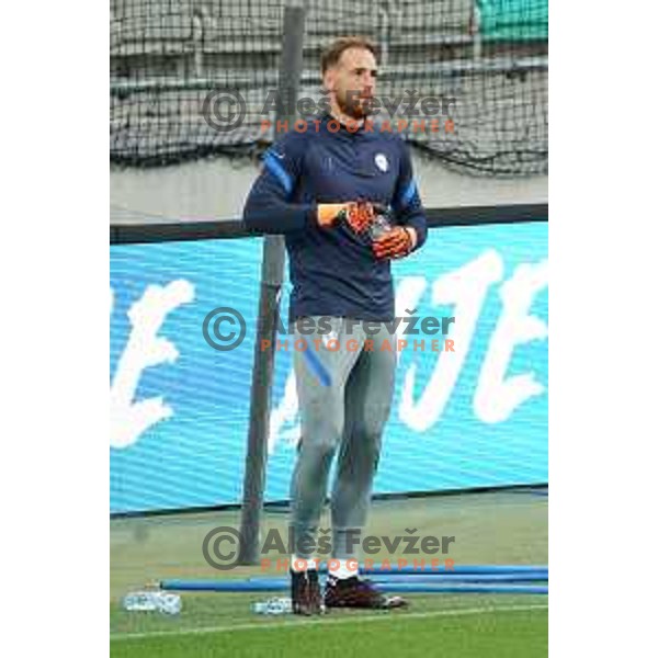 Jan Oblak of Slovenia Football team during practice session before first match in UEFA Nations League in Ljubljana, Slovenia on September 2, 2020