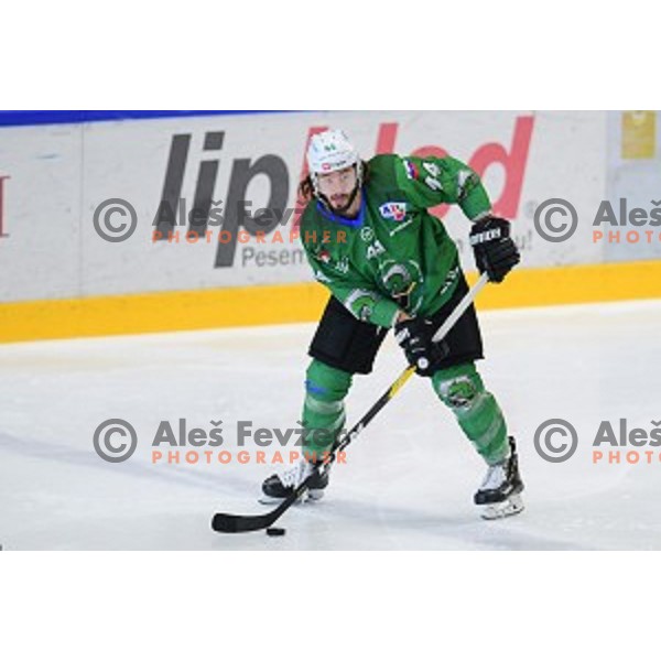 In action during ice-hockey match between SZ Olimpija and Slovenia National team in Bled Ice Hall, Slovenia on September 10, 2020