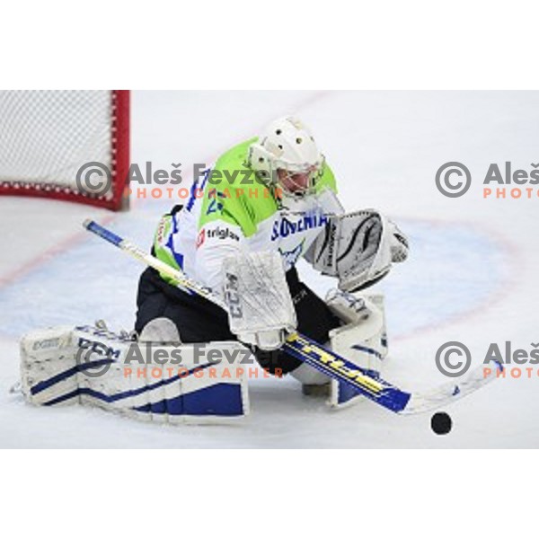 In action during ice-hockey match between SZ Olimpija and Slovenia National team in Bled Ice Hall, Slovenia on September 10, 2020