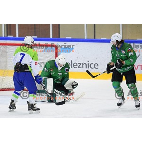 In action during ice-hockey match between SZ Olimpija and Slovenia National team in Bled Ice Hall, Slovenia on September 10, 2020