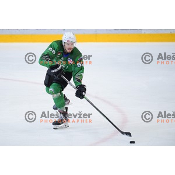 In action during ice-hockey match between SZ Olimpija and Slovenia National team in Bled Ice Hall, Slovenia on September 10, 2020