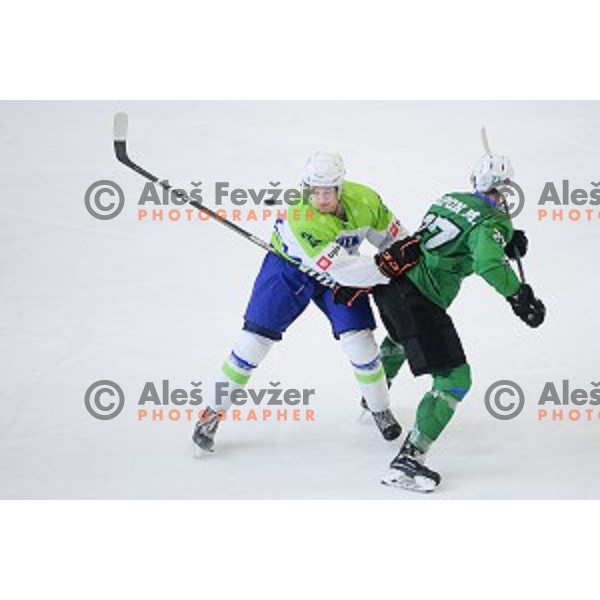 In action during ice-hockey match between SZ Olimpija and Slovenia National team in Bled Ice Hall, Slovenia on September 10, 2020